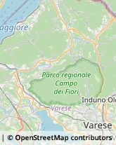 Aziende Agricole,21039Varese