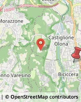 Via Monte Cimone, 30,21043Castiglione Olona