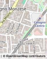 Via Goffredo Mameli, 4,20093Cologno Monzese