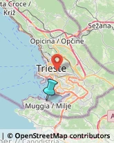 Articoli da Regalo - Dettaglio,34015Trieste