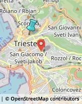 Articoli da Regalo - Dettaglio,34133Trieste