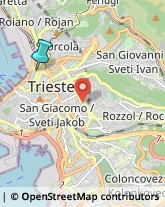 Articoli da Regalo - Dettaglio,34132Trieste