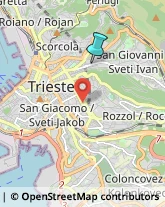 Articoli da Regalo - Dettaglio,34126Trieste