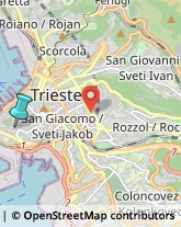 Articoli da Regalo - Dettaglio,34143Trieste