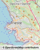 Componenti Auto e Ricambi - Produzione,34148Trieste