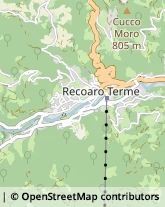 Via Giacomo Zanella, 5,36076Recoaro Terme