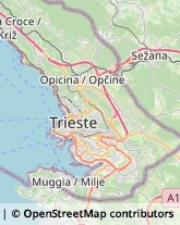 Via Flavia, 23/1,34148Trieste