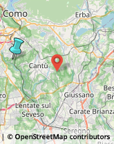 Legna da ardere,22073Como