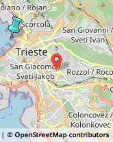 Ricerca Scientifica - Istituti,34135Trieste