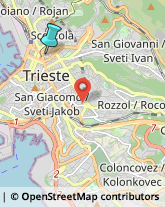 Ricerca Scientifica - Istituti,34134Trieste