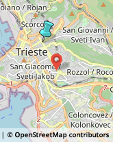 Ricerca Scientifica - Istituti,34125Trieste