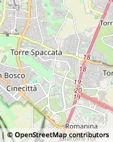 Via di Tor Tre Teste, 35,00169Roma