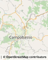 Via Conte Rosso, 19,86100Campobasso