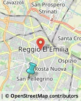 Bulbi e Sementi,42100Reggio nell'Emilia