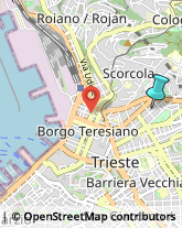 Autofficine e Centri Assistenza,34133Trieste