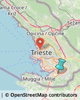 Spedizioni Internazionali,34018Trieste