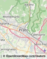 Perle,50013Firenze