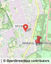 Via Santo Stefano, 35,20854Vedano al Lambro