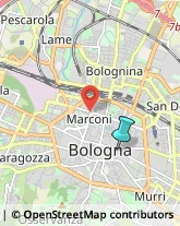 Borse - Dettaglio,40125Bologna