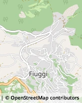 Piazza Trento e Trieste, 18,03014Fiuggi