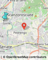 Consulenza Informatica,24020Bergamo