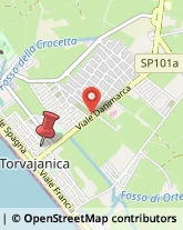 Via Viareggio, 22,00040Pomezia