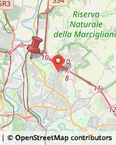 Via Monte Urano, 88,00138Roma