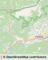 Via Dante Alighieri, 6,32032Feltre