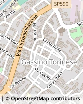 Via Circonvallazione, 15,10090Gassino Torinese