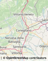 Via Antelao, 1,31050Spresiano