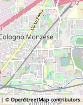 Via Alessandro Volta, 16,20093Cologno Monzese