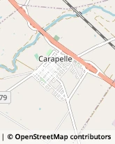 Via Lecce, 14,71041Carapelle