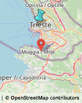 Tessuti e Filati - Trattamenti,34121Trieste