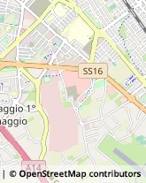 Via Macanno, 69,47924Rimini