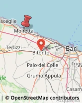 Via Galileo Galilei, 10,70056Molfetta