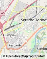 Via Settimo, 224,10099San Mauro Torinese