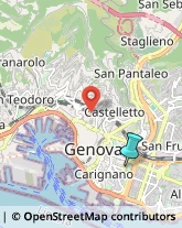 Giardinaggio - Servizio,16100Genova