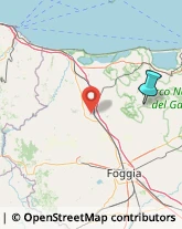 Asili Nido,71014Foggia