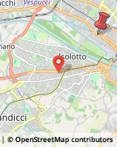 Via del Ponte alle Mosse, 227,50144Firenze