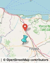 Asili Nido,71036Foggia