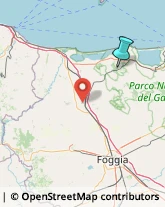 Gioiellerie e Oreficerie - Dettaglio,71015Foggia