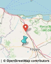 Copisterie,71036Foggia