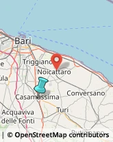 Consulenza Commerciale,70010Bari