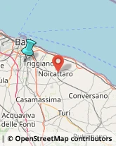 Consulenza Commerciale,70131Bari