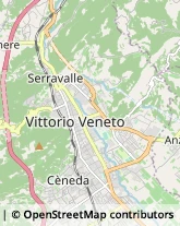 Viale Rizzera, 37,31029Vittorio Veneto