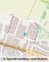 Via Viaccia, 140,55100Lucca