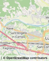 Trasporto Pubblico,55100Lucca