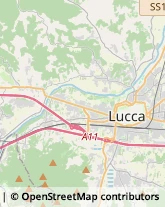 Trasporto Pubblico,55100Lucca