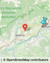 Assicurazioni,32100Belluno