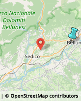 Assicurazioni,32100Belluno